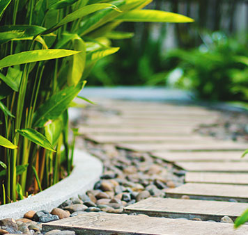 Création de jardin près de Lattes Création de jardin près de Lattes