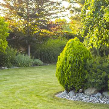 Aménagement de jardin vers Lattes Aménagement de jardin vers Lattes
