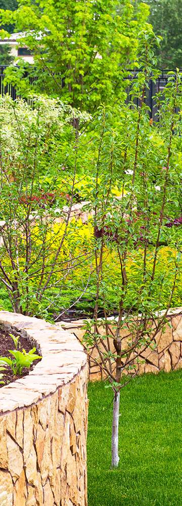 Faites appel à nous pour l'entretien de votre jardin
